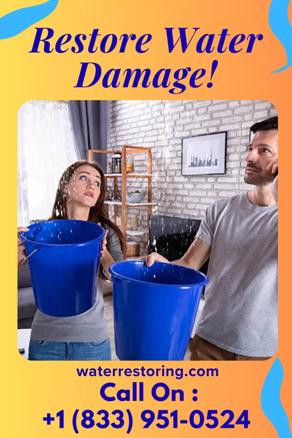 water restoration Capital Water Removal Professionals Idamay